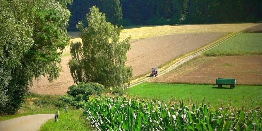 Wandern  - © Karl Bauer