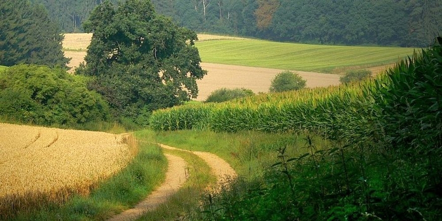 Landschaft  - © Karl Bauer